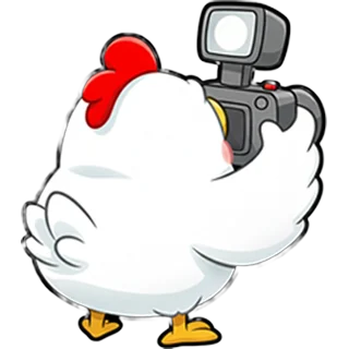 Camera chicken – Chicken Road Race