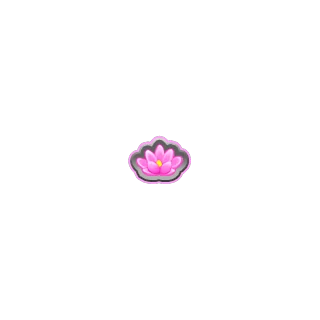 Lotus – Frog Road