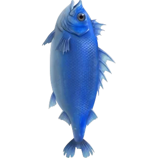 Blue fish – Ice Fish