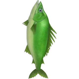 Green fish – Ice Fish