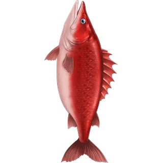 Red fish – Ice Fish