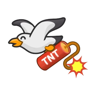 Seagull with TNT – Pengu Sport