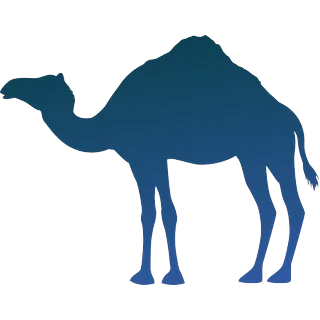 Camel – Plinko 1000